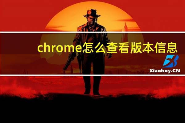 chrome怎么查看版本信息