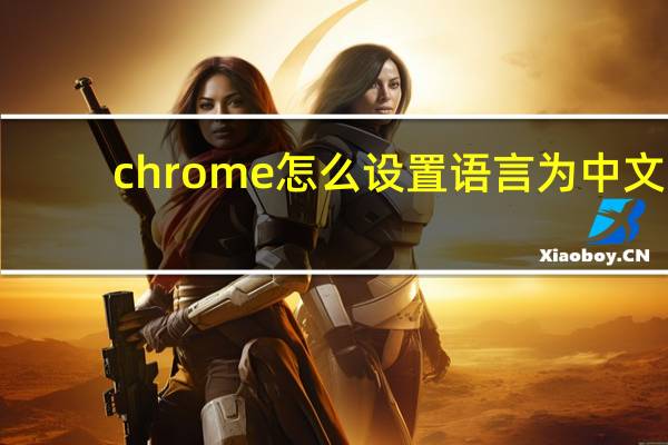 chrome怎么设置语言为中文