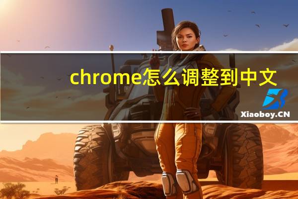 chrome怎么调整到中文