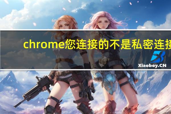 chrome您连接的不是私密连接
