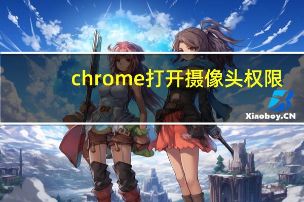 chrome打开摄像头权限