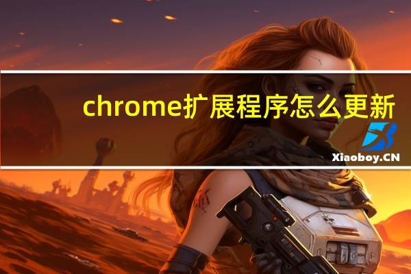chrome扩展程序怎么更新