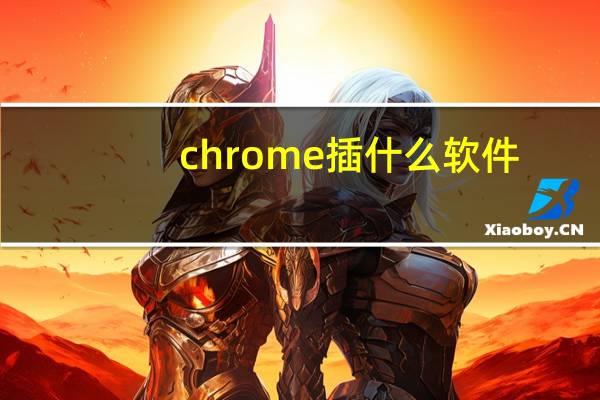 chrome插什么软件