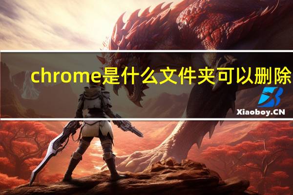 chrome是什么文件夹可以删除吗