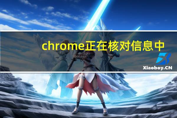 chrome正在核对信息中
