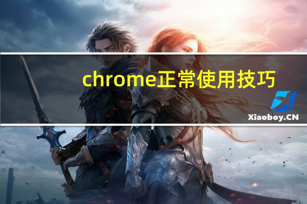 chrome正常使用技巧