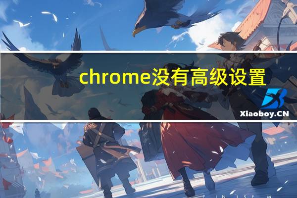 chrome没有高级设置