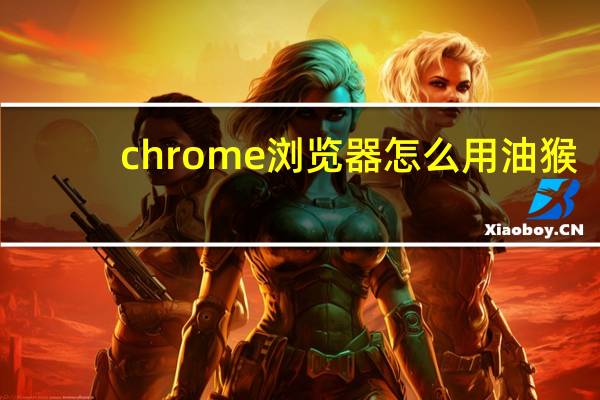 chrome浏览器怎么用油猴