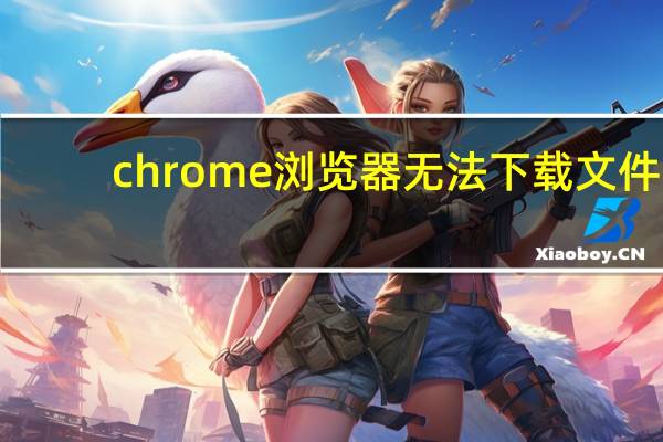 chrome浏览器无法下载文件