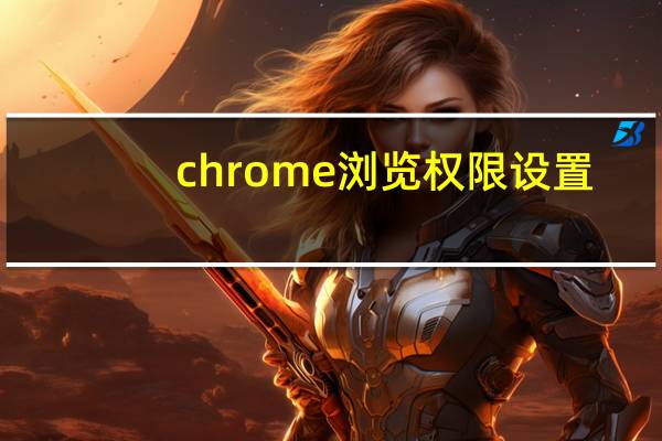 chrome浏览权限设置