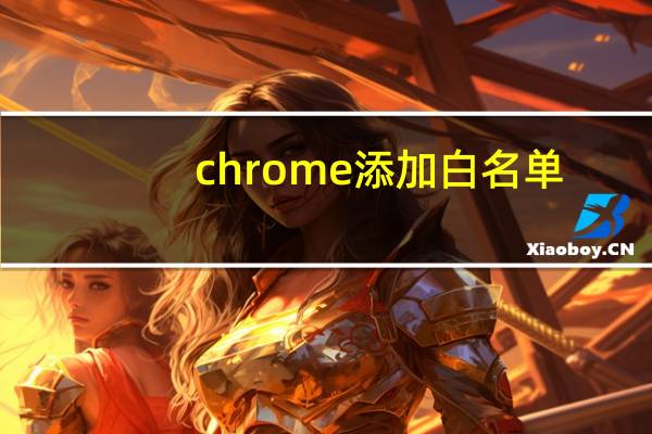 chrome添加白名单