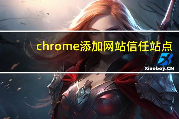 chrome添加网站信任站点
