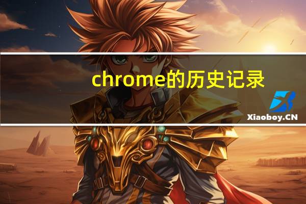 chrome的历史记录