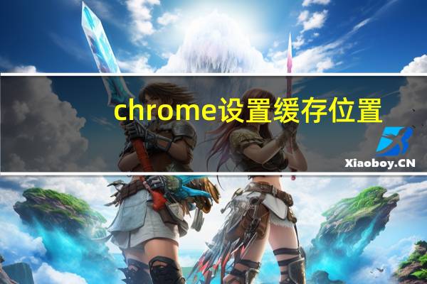 chrome设置缓存位置
