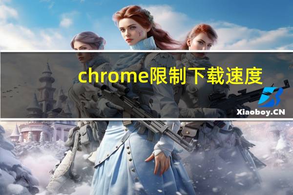 chrome限制下载速度