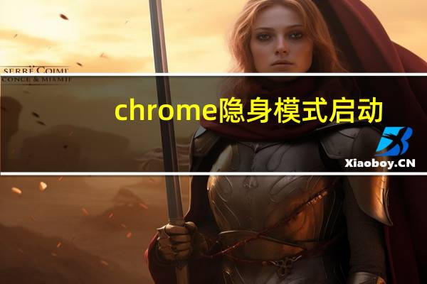 chrome隐身模式启动