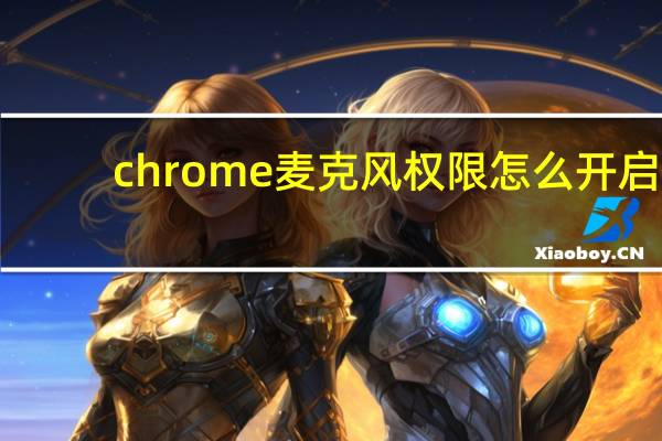 chrome麦克风权限怎么开启