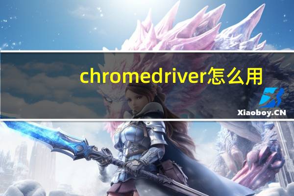 chromedriver怎么用