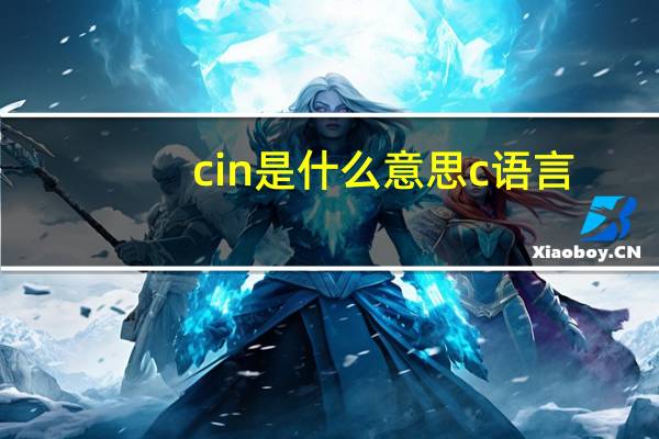 cin是什么意思c语言