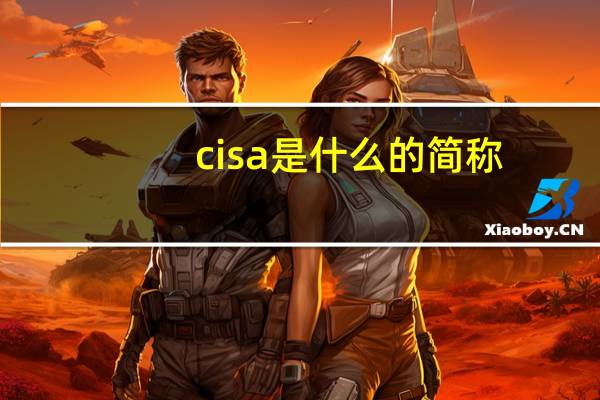 cisa是什么的简称