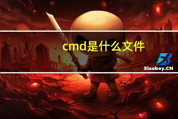 cmd是什么文件