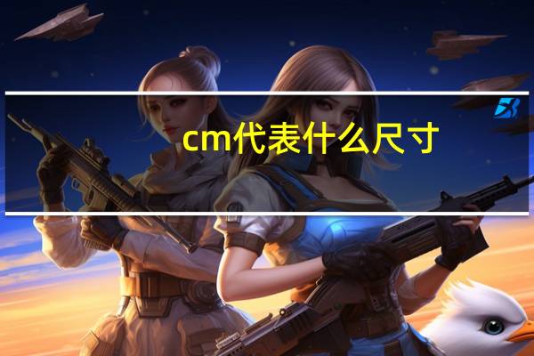 cm代表什么尺寸