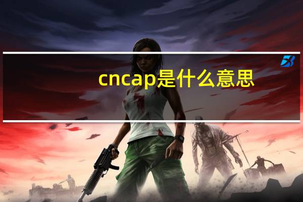 cncap是什么意思（cncap）