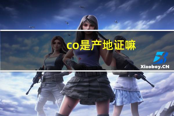 co是产地证嘛（产地证CO 和FE 有什么差别）