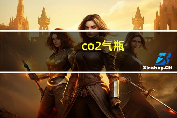 co2气瓶（co2）