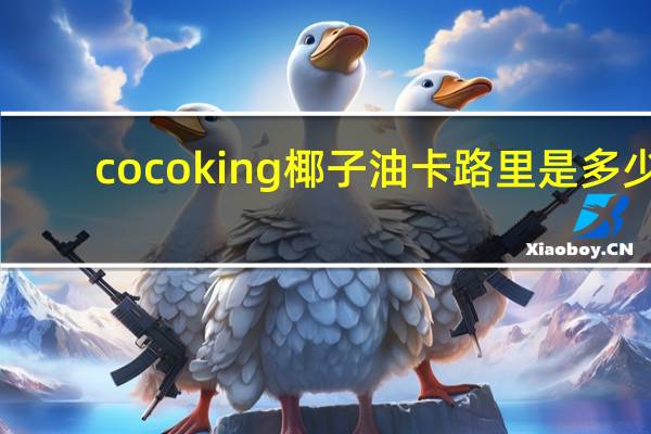 cocoking 椰子油卡路里是多少