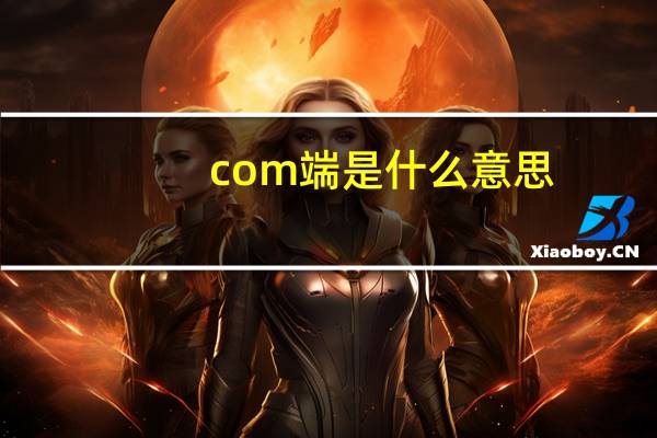 com端是什么意思
