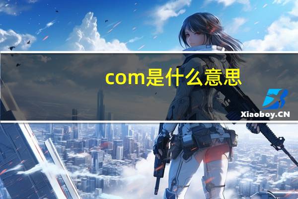 com是什么意思.厨娘.com