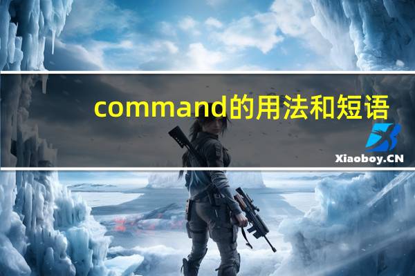 command的用法和短语
