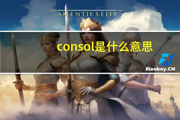 consol是什么意思