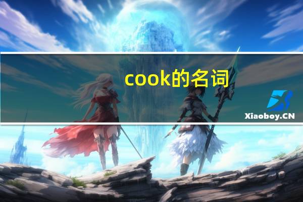cook的名词