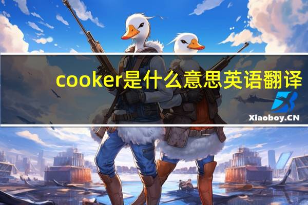cooker是什么意思英语翻译（cooker是什么意思）