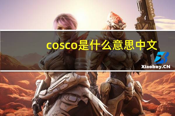 cosco是什么意思中文（cosco是什么意思）