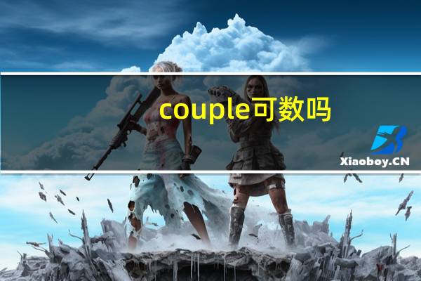 couple可数吗