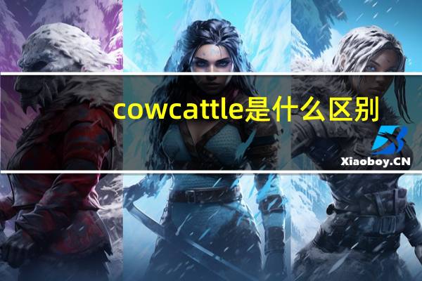 cow cattle是什么区别