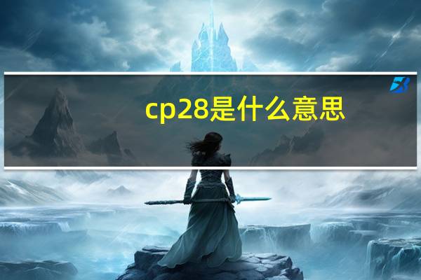 cp28是什么意思