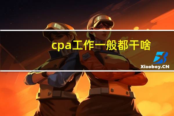 cpa工作一般都干啥