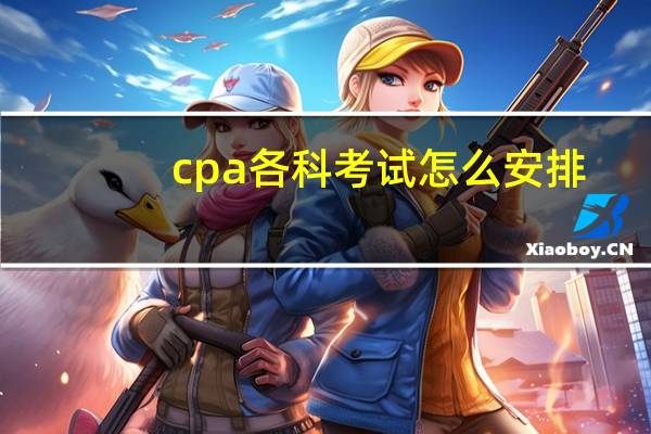 cpa各科考试怎么安排