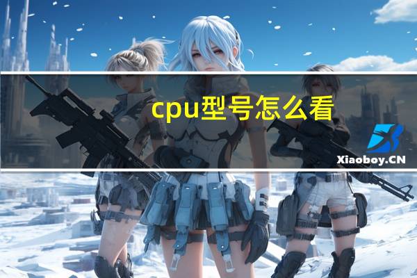 cpu型号怎么看（cpu型号）