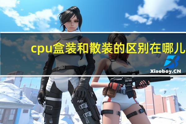 cpu盒装和散装的区别在哪儿（cpu盒装和散装的区别）
