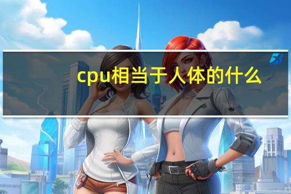 cpu相当于人体的什么