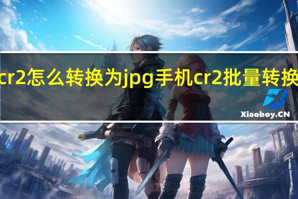 cr2怎么转换为jpg手机 cr2批量转换成jpg
