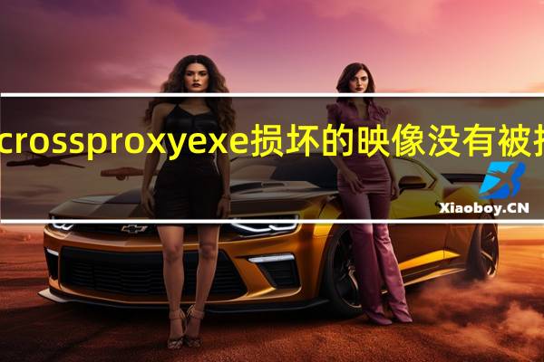 crossproxyexe损坏的映像没有被指定在（crossproxy exe）