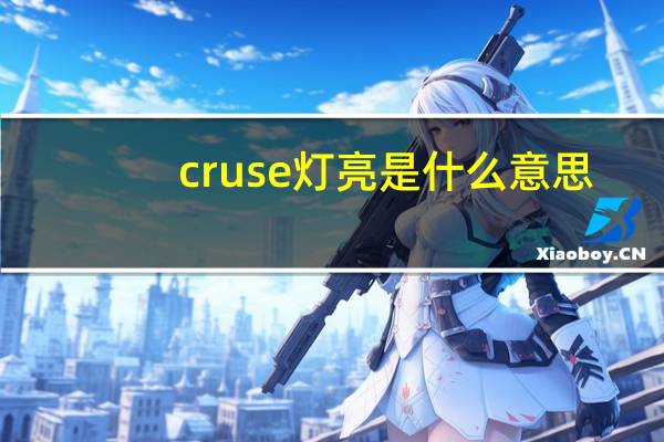 cruse灯亮是什么意思