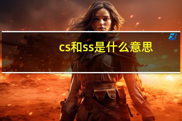 cs和ss是什么意思