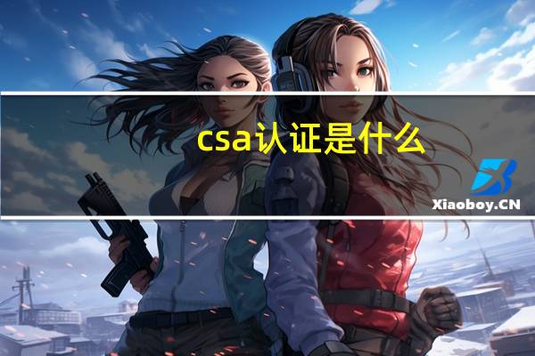csa认证是什么